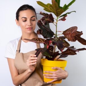 Seasonal Plant Care Consultation